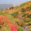 御岳山の紅葉