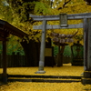 大銀杏の神社