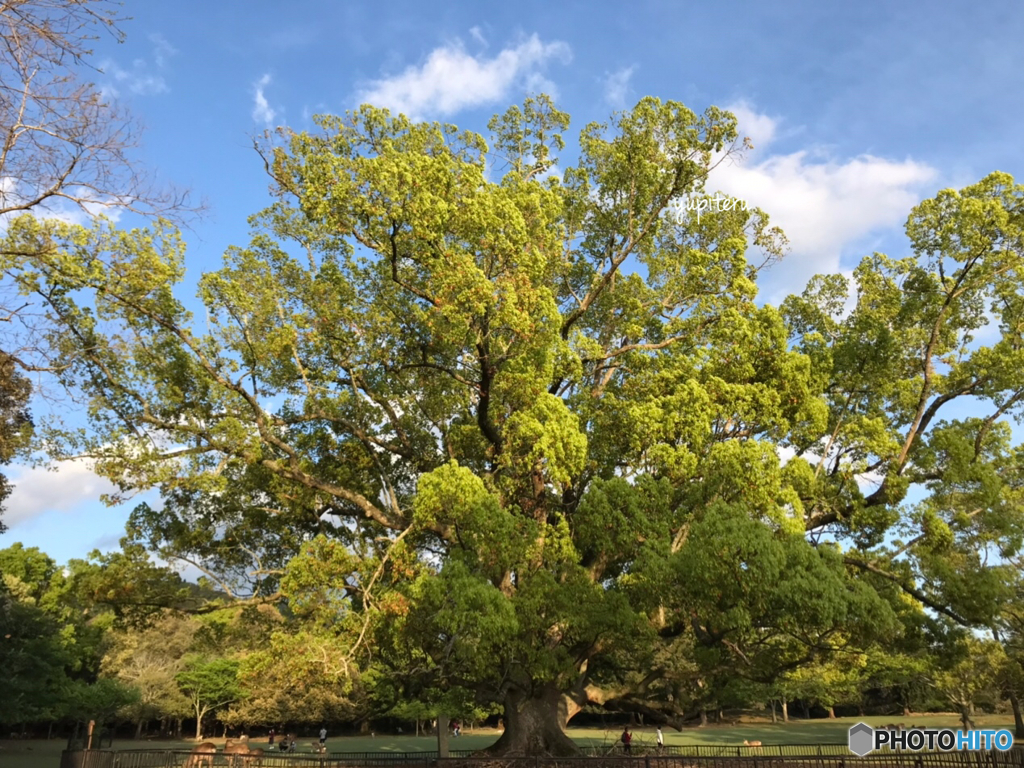 公園