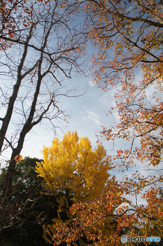 奈良公園
