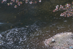 花筏