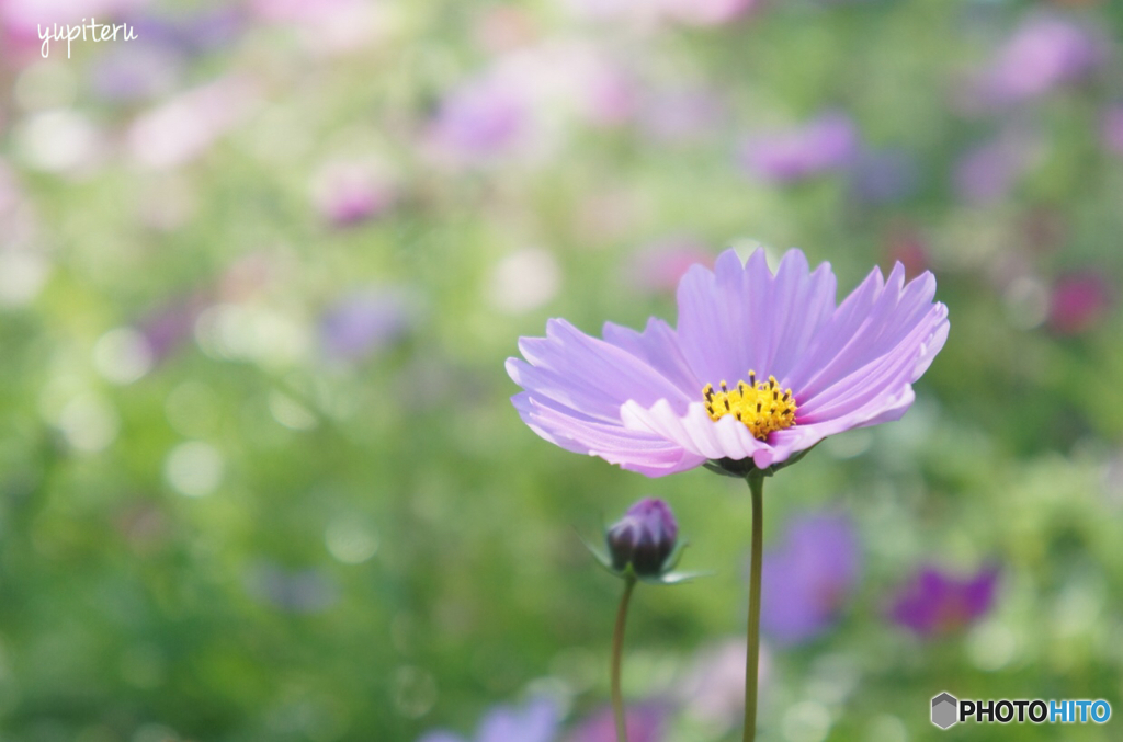 D2E2C951-6692-453D-9597-E16AAB00D139