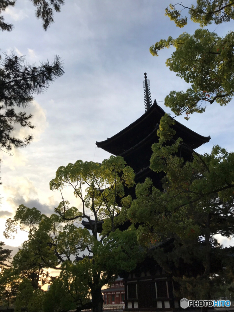 夕景