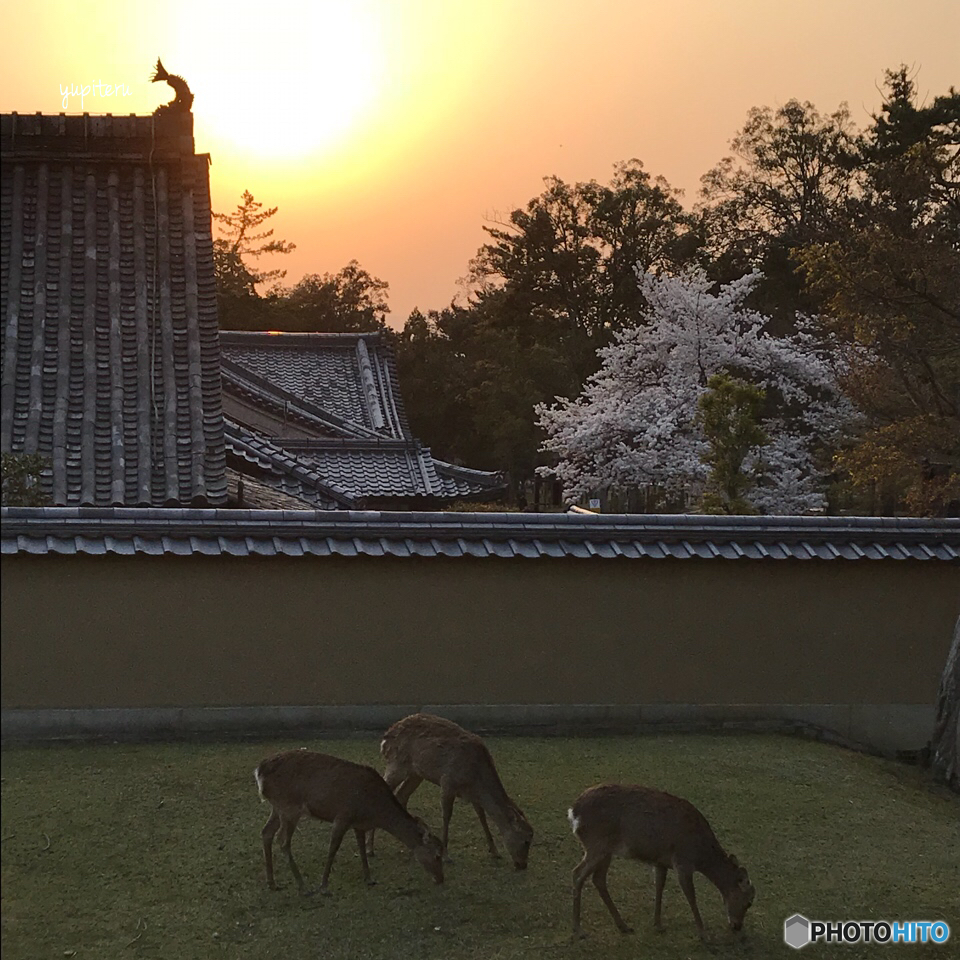 夕焼け