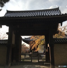 奈良公園