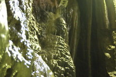 P8241015