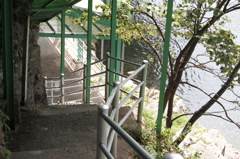 P8241006
