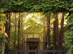 あの奥には・・・