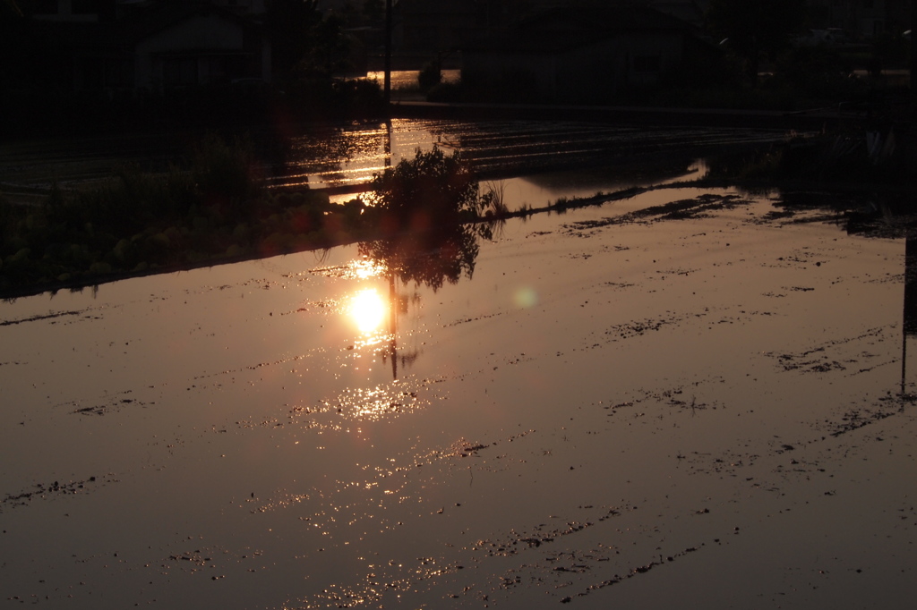田に日は落ちる