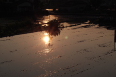 田に日は落ちる