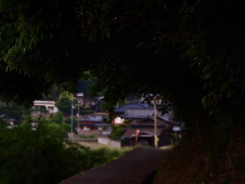 その先に・・・