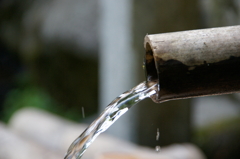 DSC02070_20110804_143247