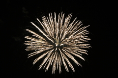 DSC02307_20110806_200608