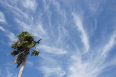 DSC02602_20110927_100232DSC02602