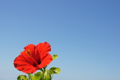 DSC02703_20110927_130059DSC02703