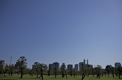 都心の空