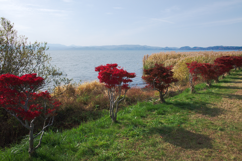 みちのくの湖畔