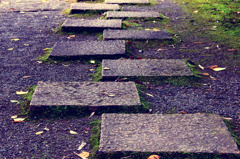 和の道
