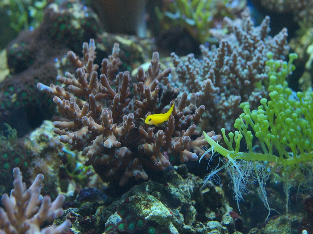 水族館初チャレンジ！