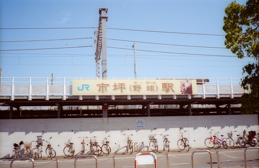 野球