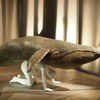 クジラの惑星