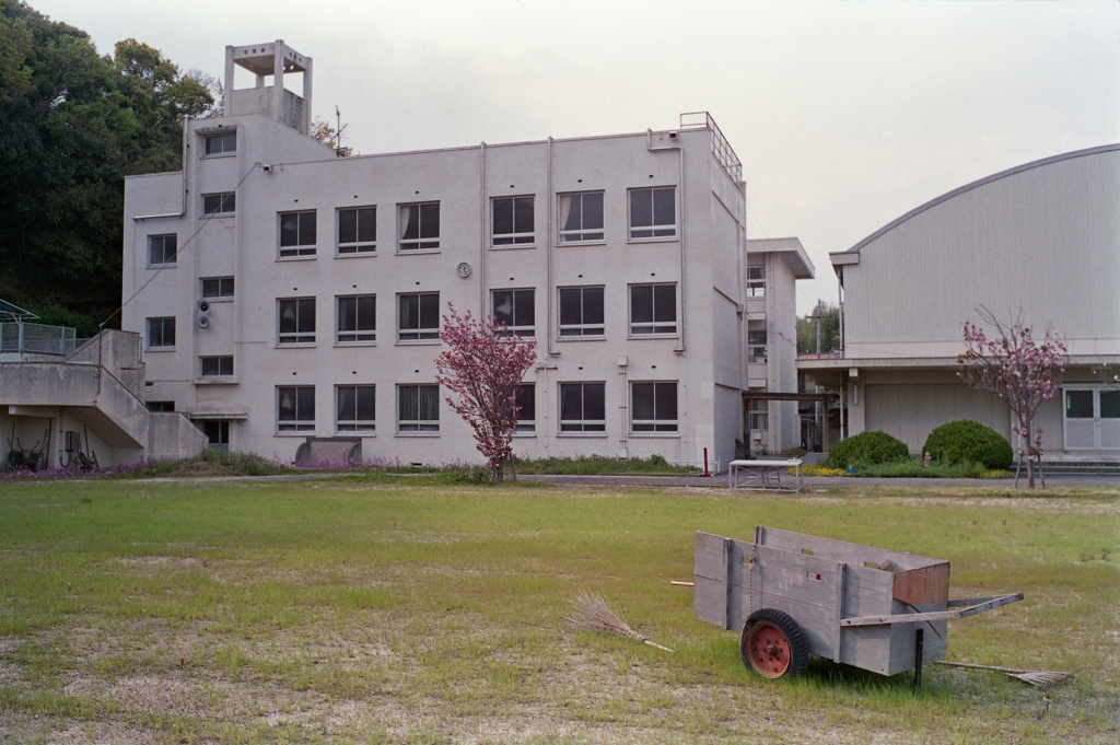島の学校
