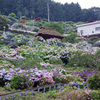 あじさいの里