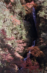 紅葉と滝 その２