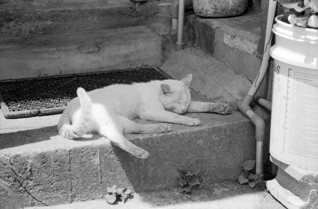 おねむ１