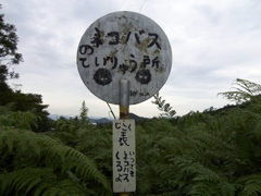 いつでも来るよ