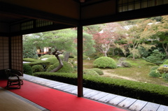 京