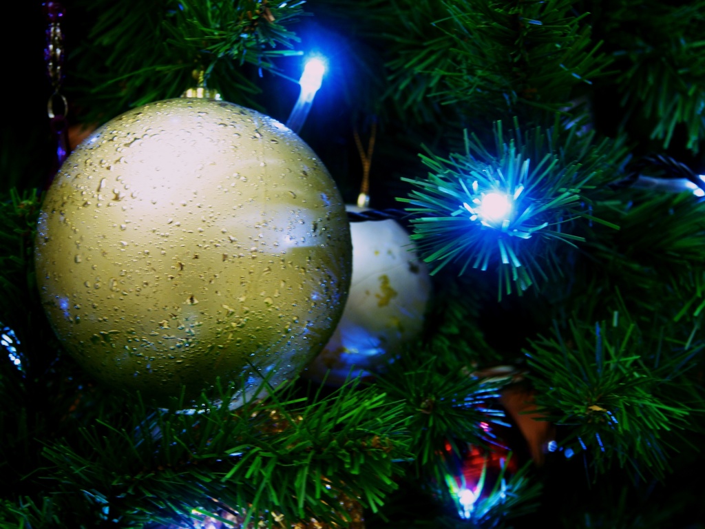 Xmas Lights
