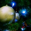 Xmas Lights
