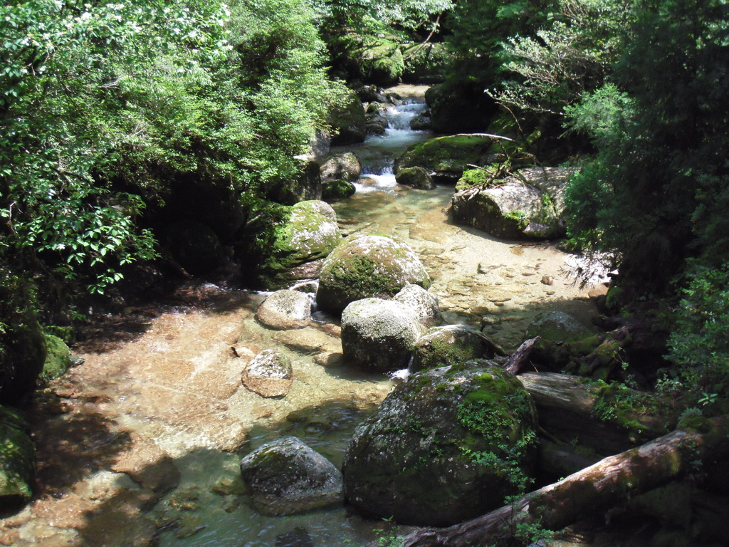  鹿児島県　屋久島