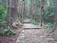 和歌山県　熊野古道