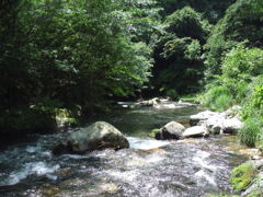 群馬県　桐生川