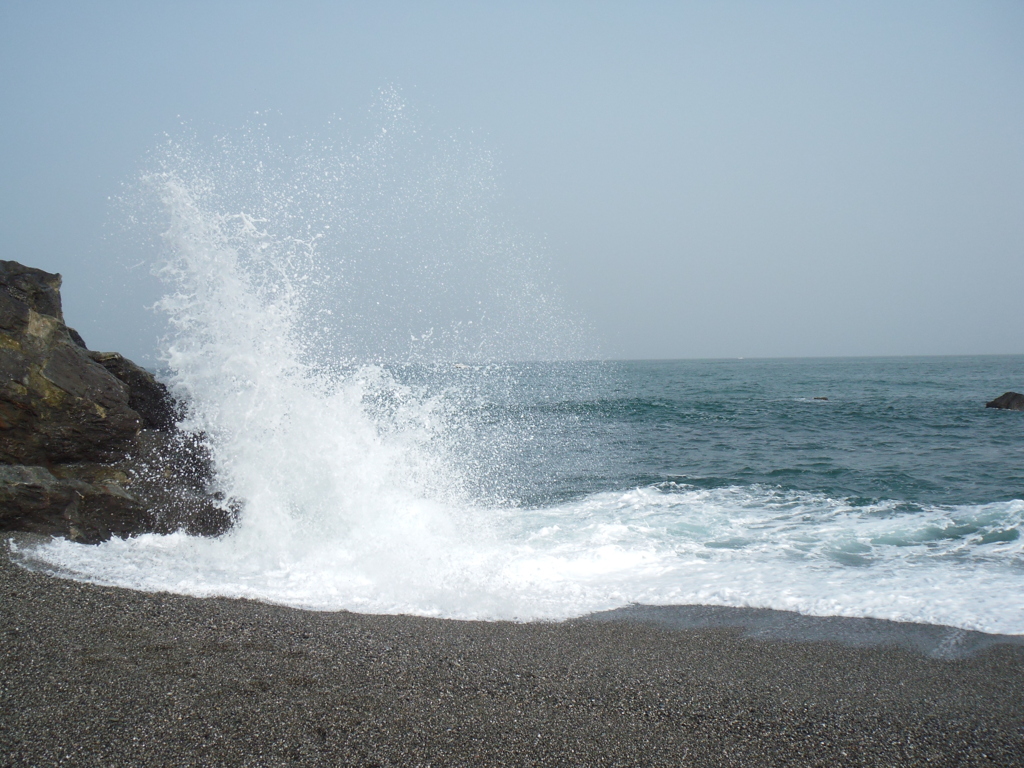 高知県　桂浜