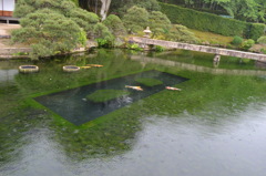 岡山県　後楽園