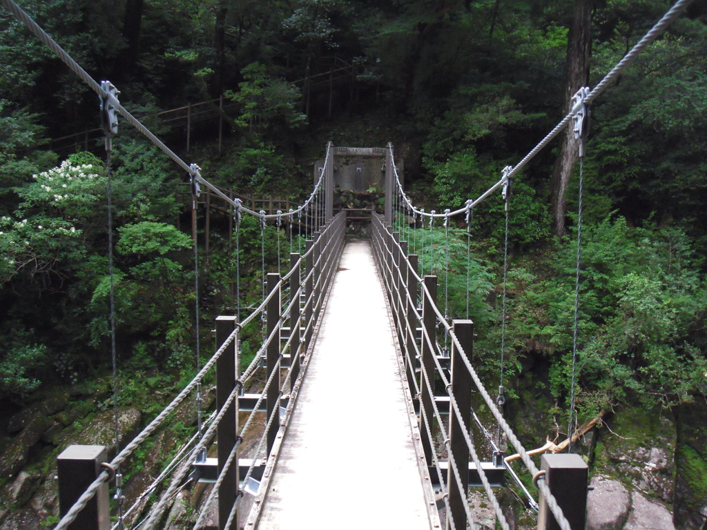  鹿児島県　屋久島