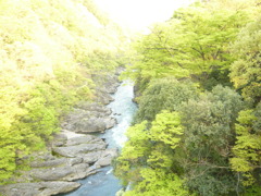 群馬県　はねたき橋