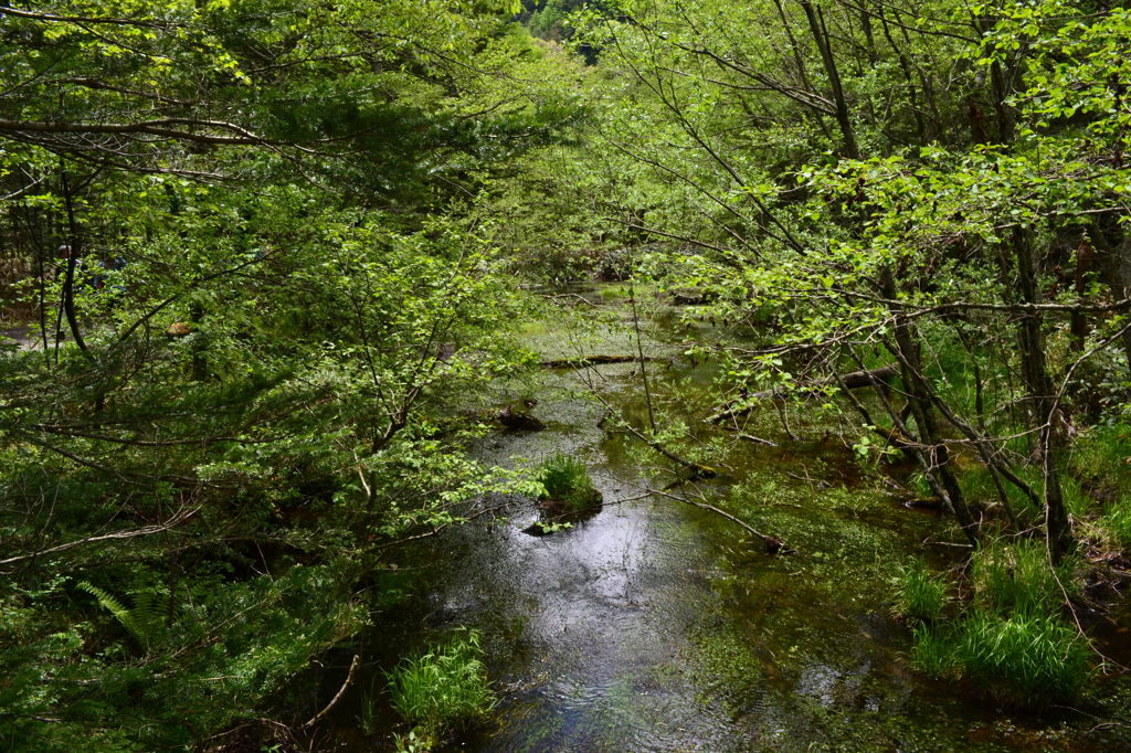 長野県　上高地