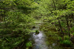 長野県　上高地