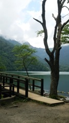 栃木県　湯滝周辺