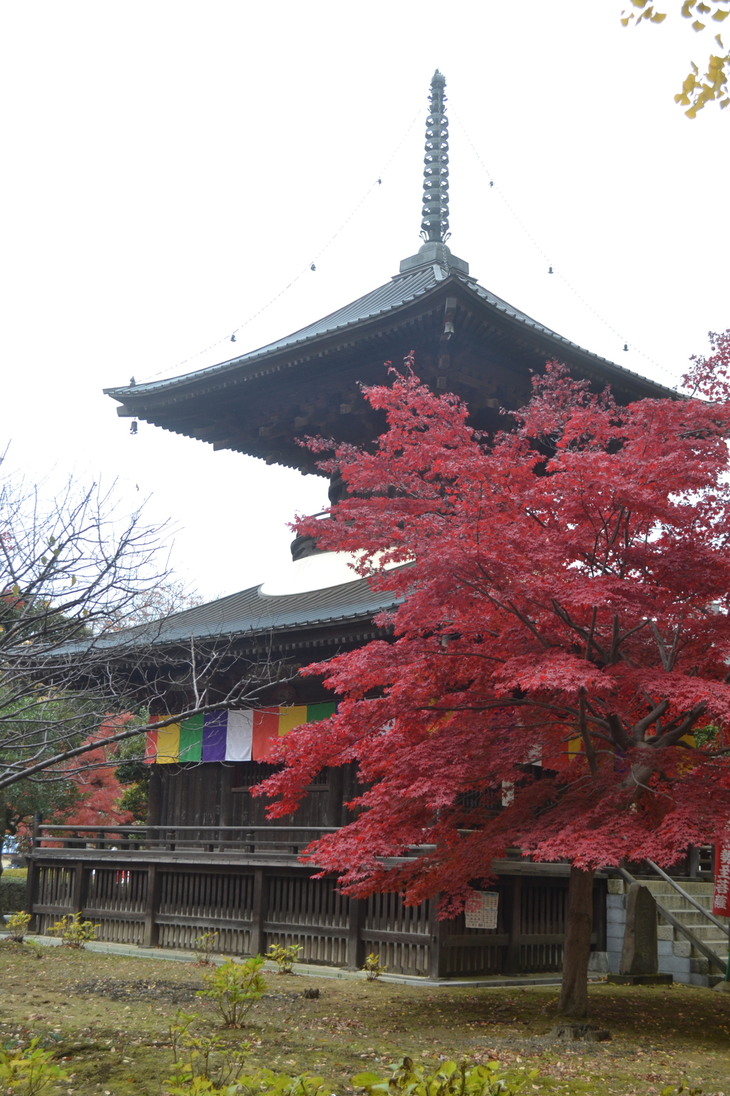 栃木県　足利学校周辺