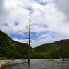 長野県　大正池