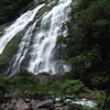  鹿児島県　大川の滝