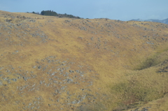 山口県　秋吉台カルスト