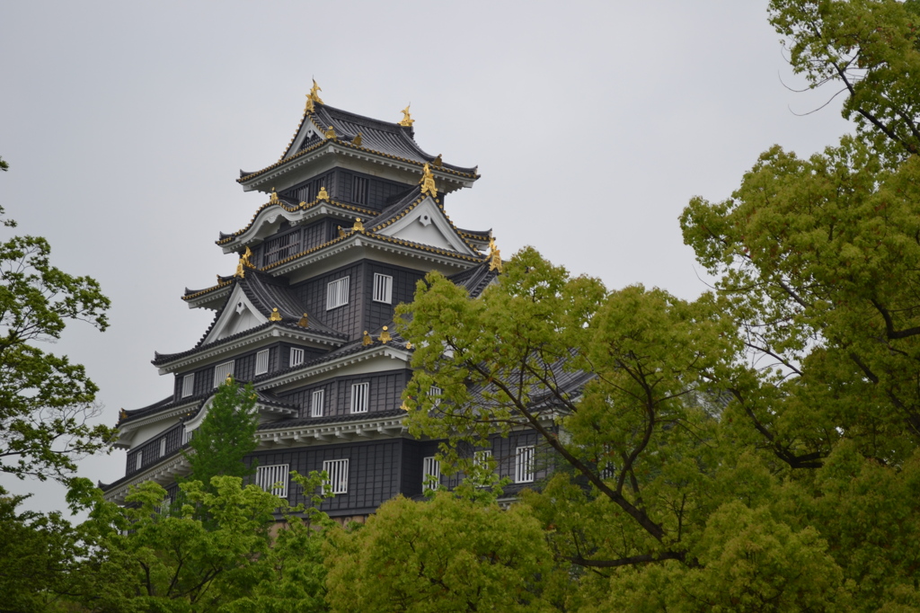 岡山県　岡山城