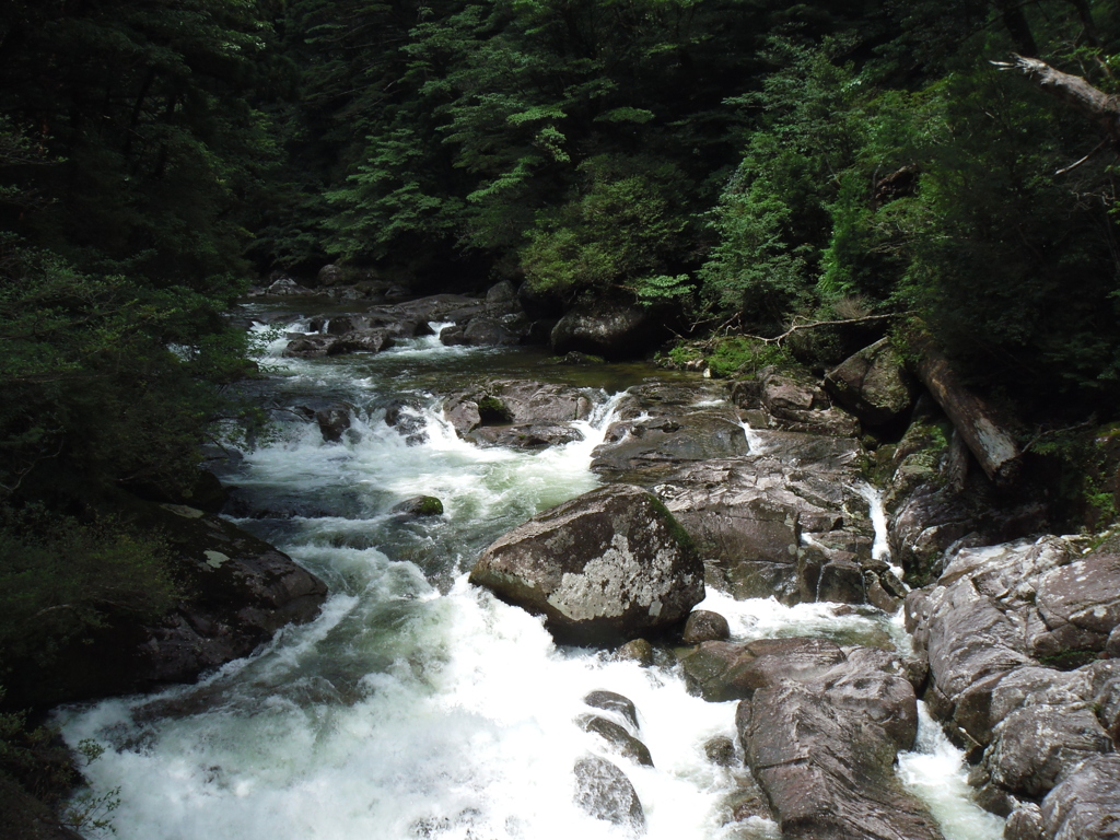  鹿児島県　屋久島