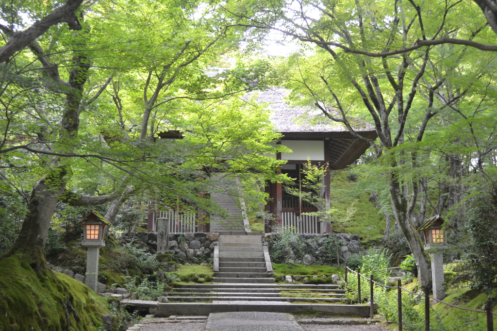 京都府　常寂光寺
